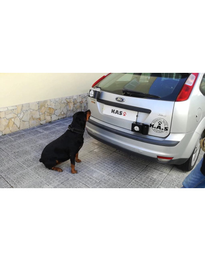 KAS STUCK BOX + 1 DUMMY